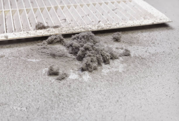 Best HVAC Maintenance and Cleaning  in Hudson, FL