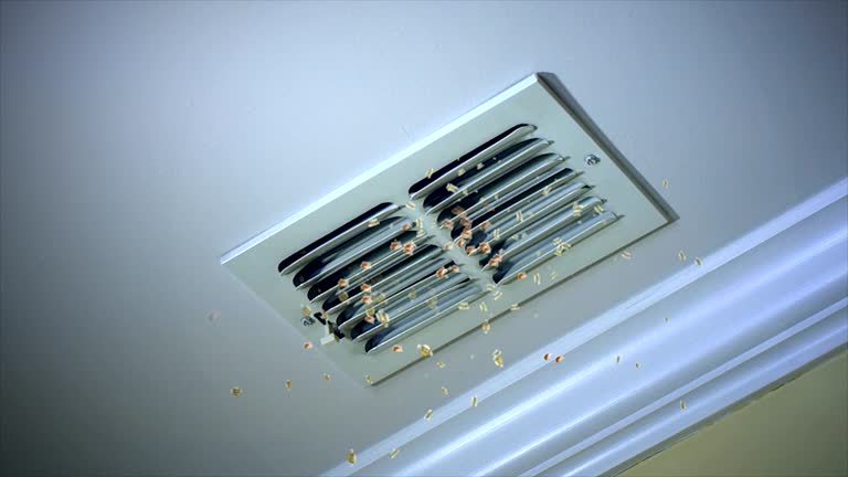Best Affordable HVAC Duct Cleaning  in Hudson, FL
